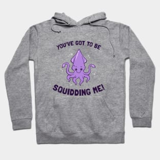 You've Got To Be Squidding Me Hoodie